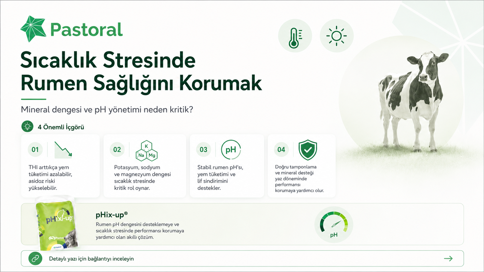 Sıcaklık Stresinde Rumen Sağlığını Korumak