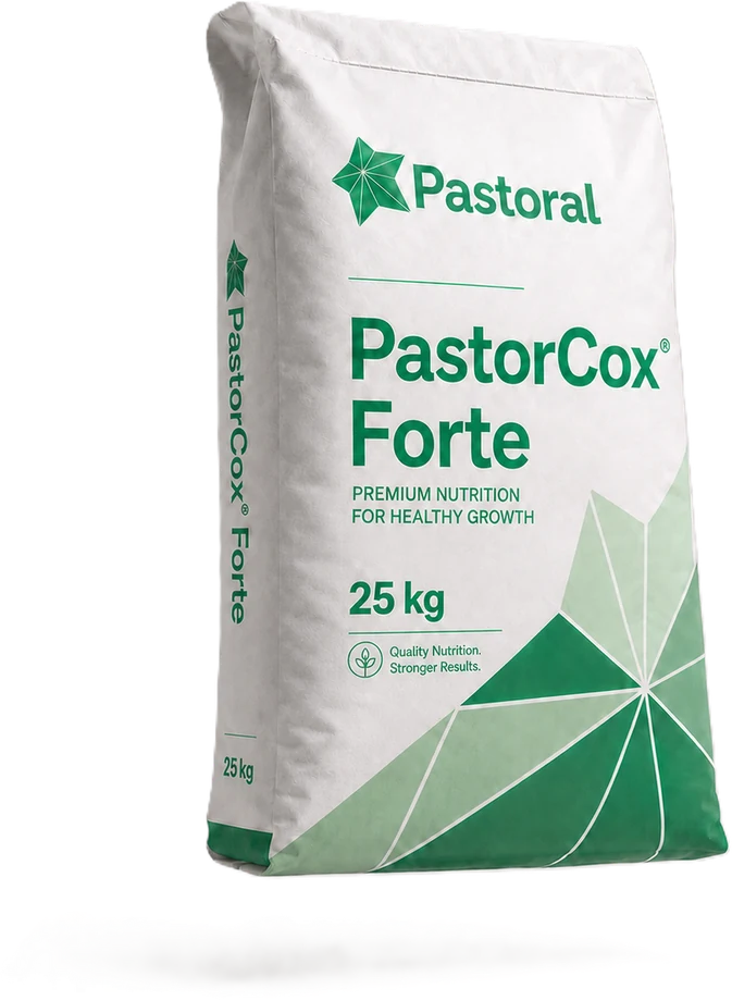 PastorCox Forte kanatli sağlığı