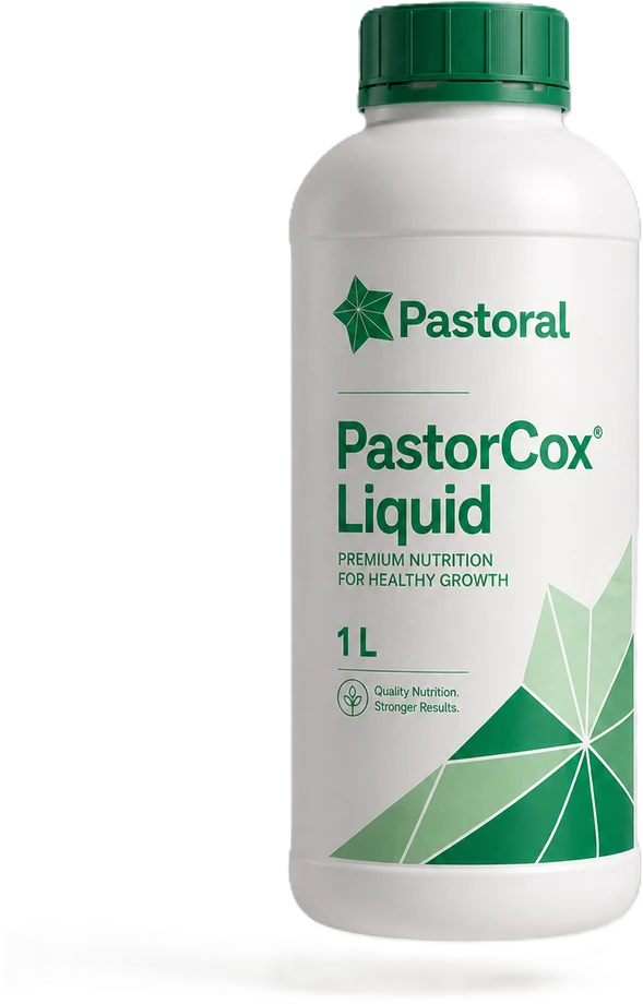 Pastor Cox Liquid kanatli sağlığı