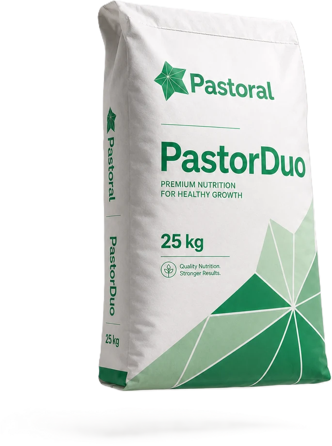 PastorDuo çift etkili rumen tamponlayıcı